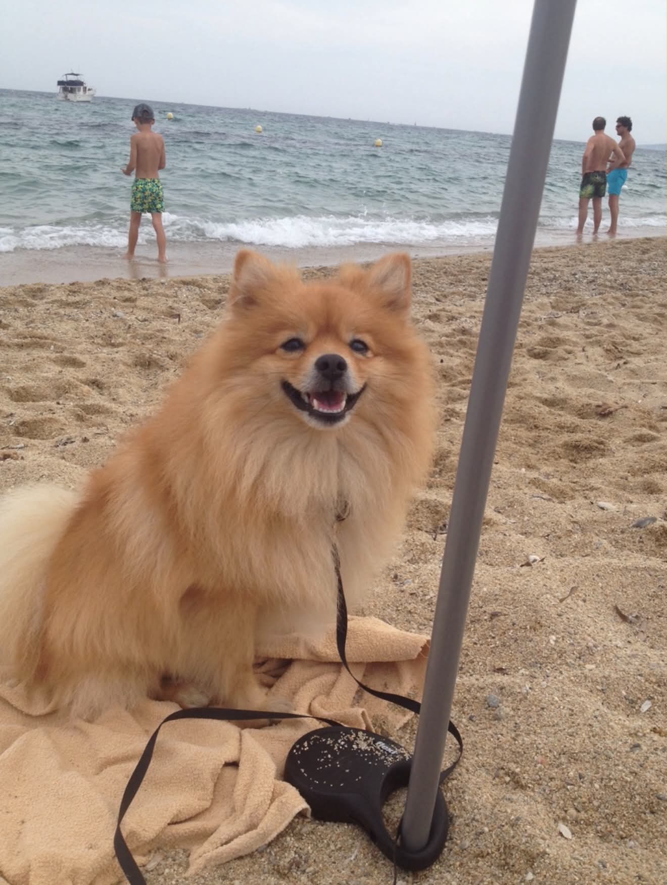 Titou en vacances dans l'appartement Tamaris de Location Var chez Florence et Jean-Luc cet été 2026