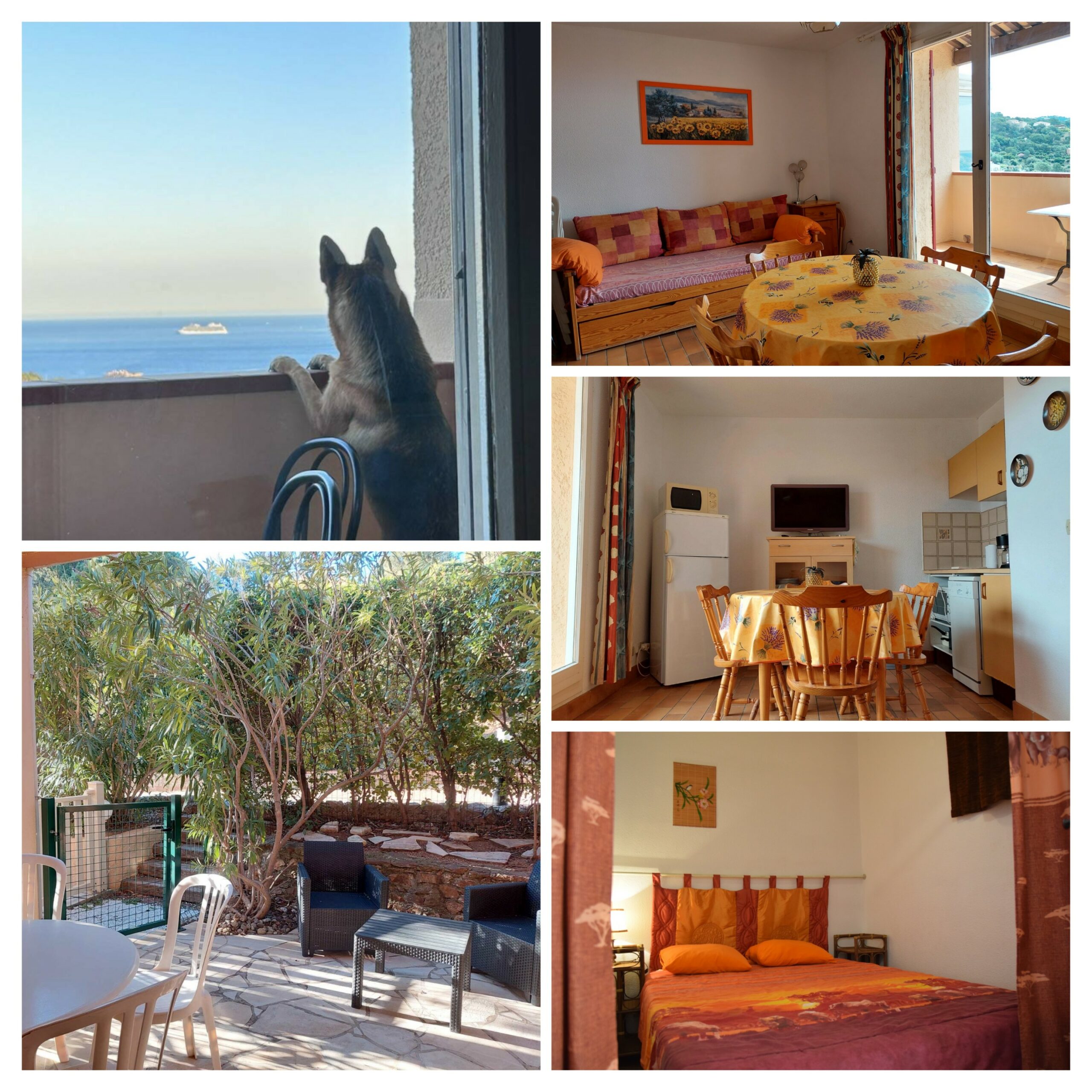 Bienvenu aux chiens dans notre appartement Tamaris17 aux Issambres